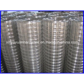 Export Standard Welded Wire Iron Mesh /Welded Wire Mesh